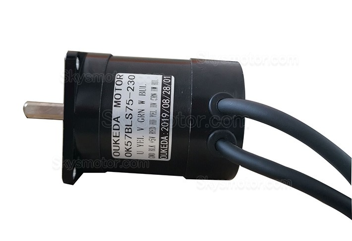 24V ブラシレスDCモーター BLDCモーター OK57BLS75-230 2相 22Ncm 3000RPM 56.6x56.6x75mm
